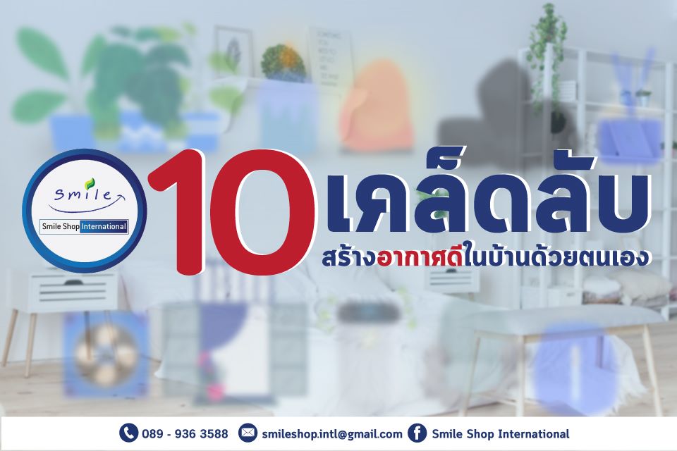 สร้างอากาศดีในบ้านด้วยตนเอง