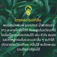 แลคเกอร์ อากาศเป็นพิษ