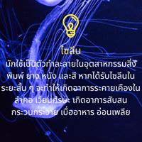 กรัเป๋าหนัง อากาศเป็นพิษ