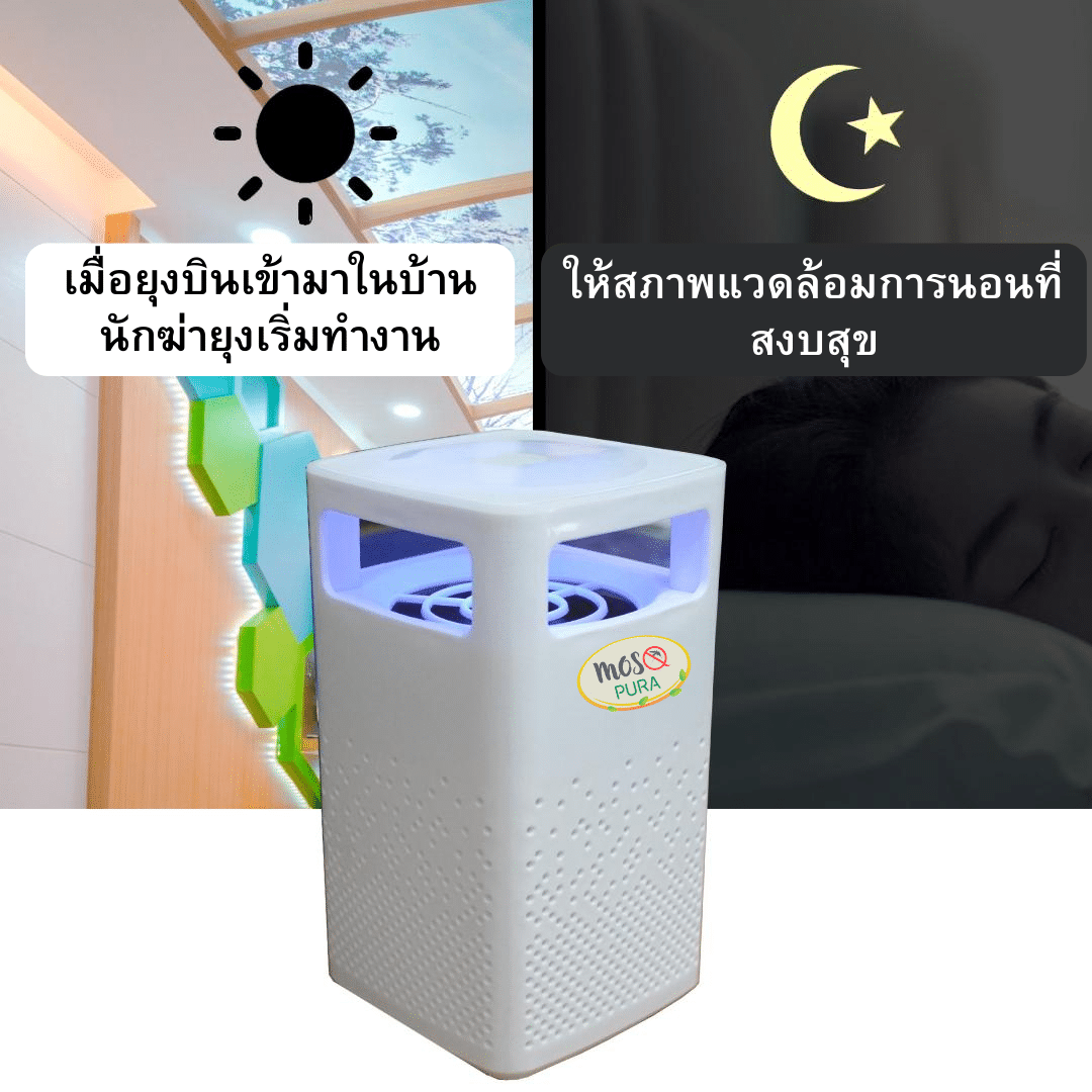 My Image 1
